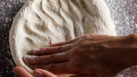 Homemade Pizza Dough
